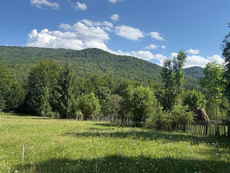 Teren Construcții intravilan de 1662 mp, în Trăisteni