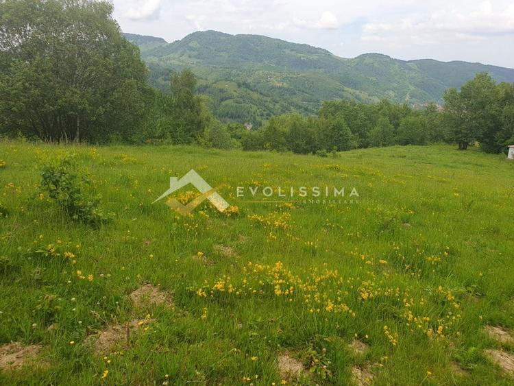 Teren Construcții intravilan de 11396 mp, în Moieciu de Jos