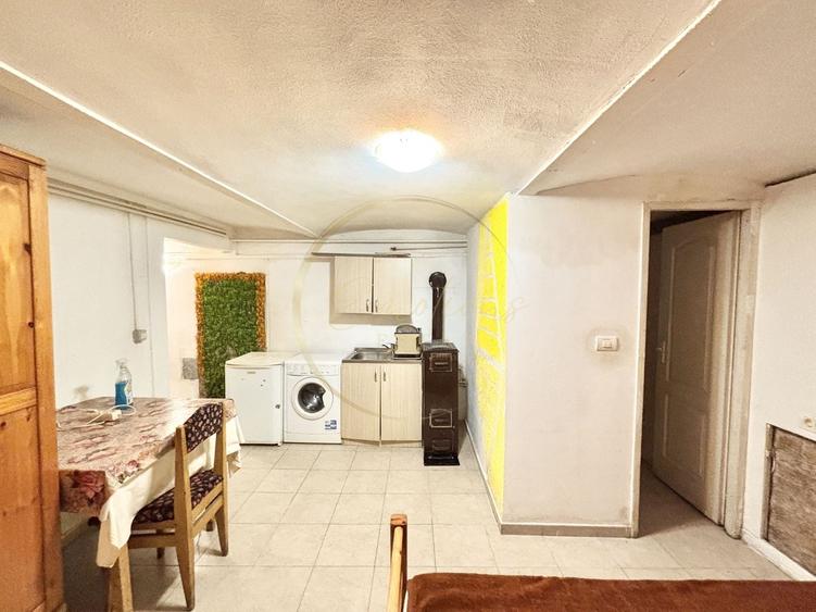 Apartament 1 camera - Take Ionescu DEMISOL - 4