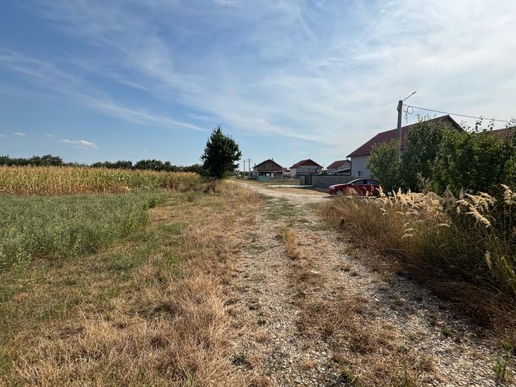 Teren Construcții extravilan de 10000 mp, în Știuca