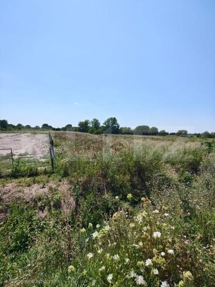 Teren Construcții intravilan de 2857 mp, în Corod