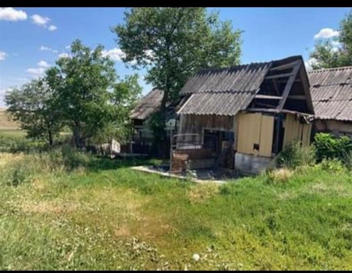 Reco  Teren 5800 mp in Ghenetea | Strada asfaltata recent - 4