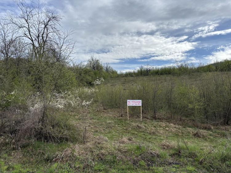 Teren intravilan de vanzare in localitatea Eselnita, strada Salcamilor - 8