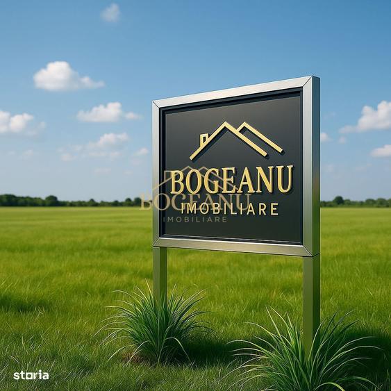 BG136-Teren Agricol 53 ha comasat-DJ 593A-Jud.Timis Peciu Nou - 1