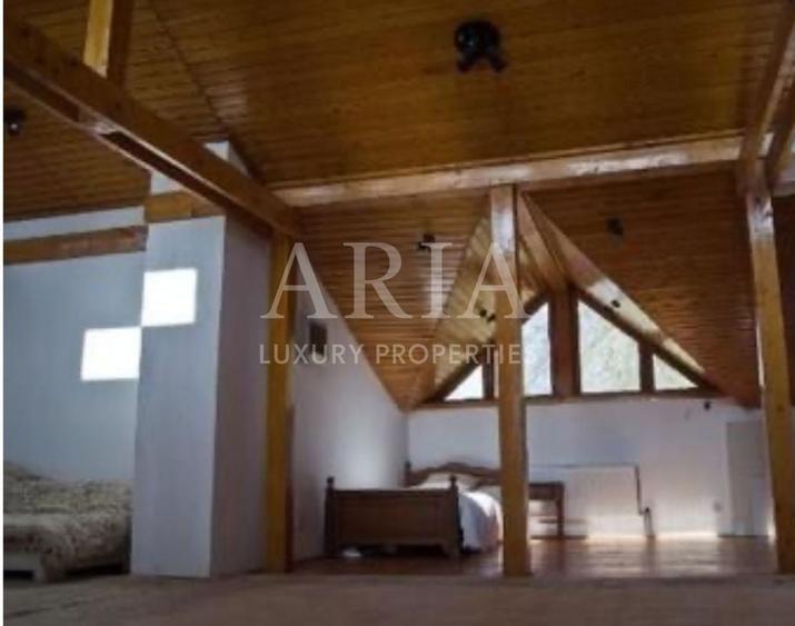 VILA SNAGOV | DESCHIDERE LA LAC - 7