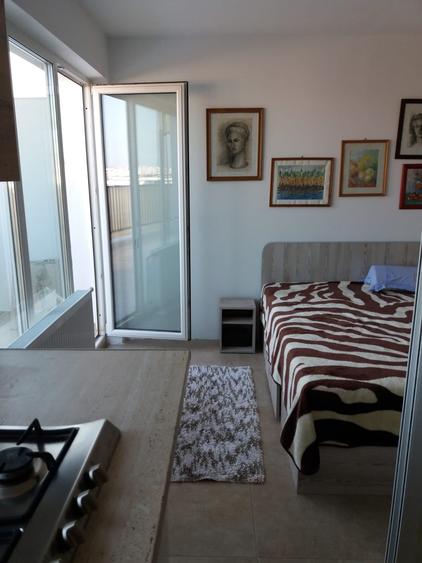 Apartament cu o camera 32 mp cu terasa 21 mp Intre Lacuri - 2
