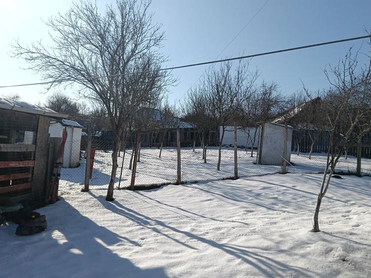 Casa de vanzare in Tichindeal - 4