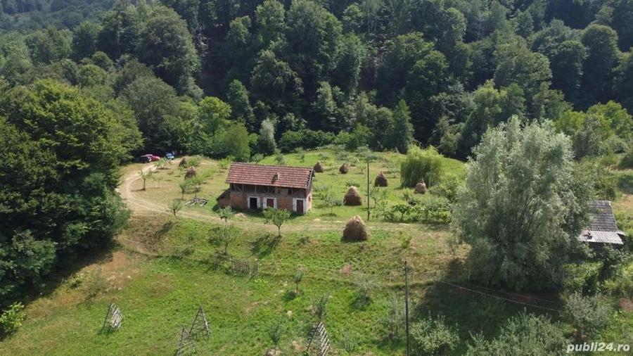 Teren de vanzare in comuna Cicane?ti, sat Bara?ti, Judet Arges. - 6