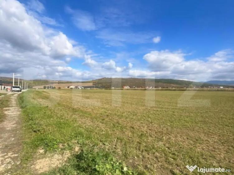 Teren Extravilan in Apropiere de Jelna 25.800 mp, cu Ut - 4