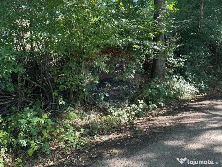 TEREN intravilan cu potential - 4