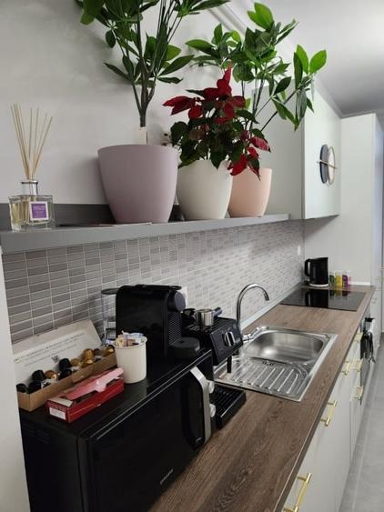 Proprietar, apartament 2 camere, decomandat, loc parcare–City of Mara, Timișoara - 11