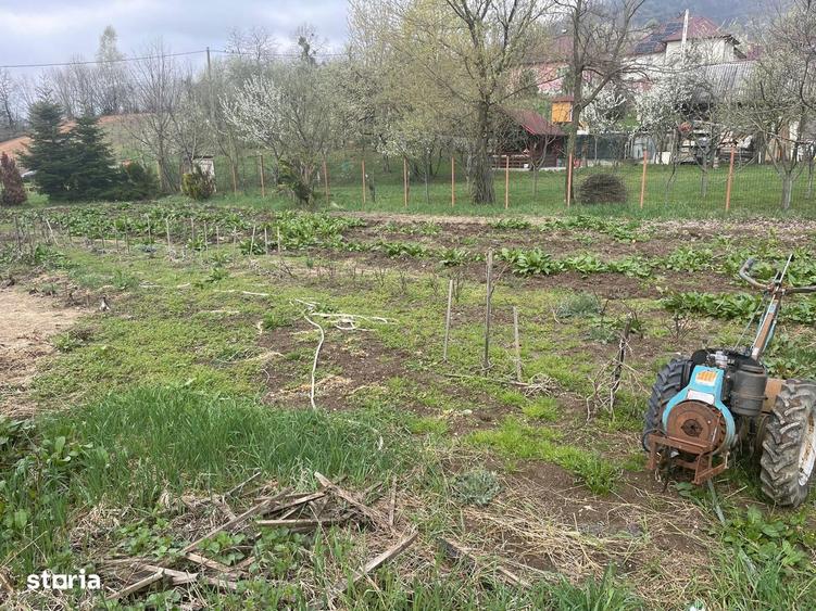 Baia Sprie, la intrare, 6 ari teren - 3