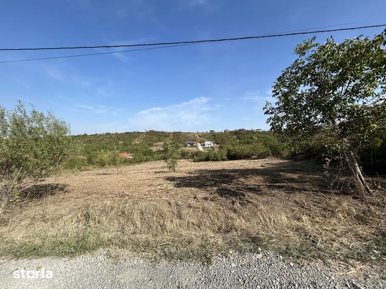 Teren intravilan ,str Livezilor , 3280 mp - 2