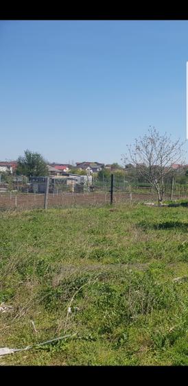 Teren 500mp Lazu - 2