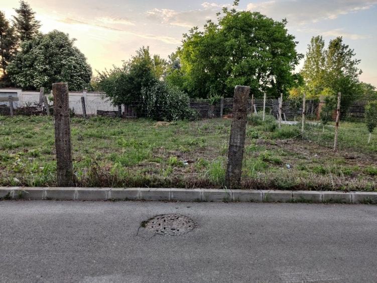 Teren Straulesti 500mp - 7