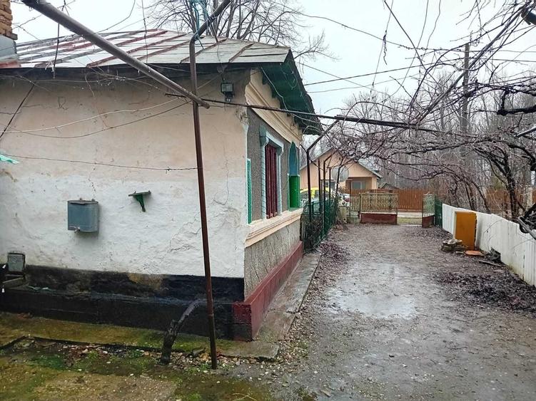 Casa batraneasca in sat Palanca, comuna Rafov/Prahova - 3