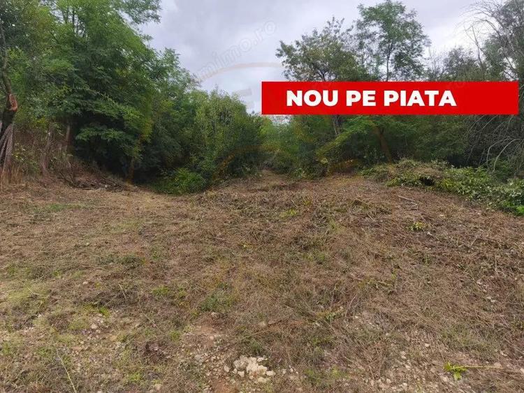 Teren intravilan Mosoaia - Hintesti - 5