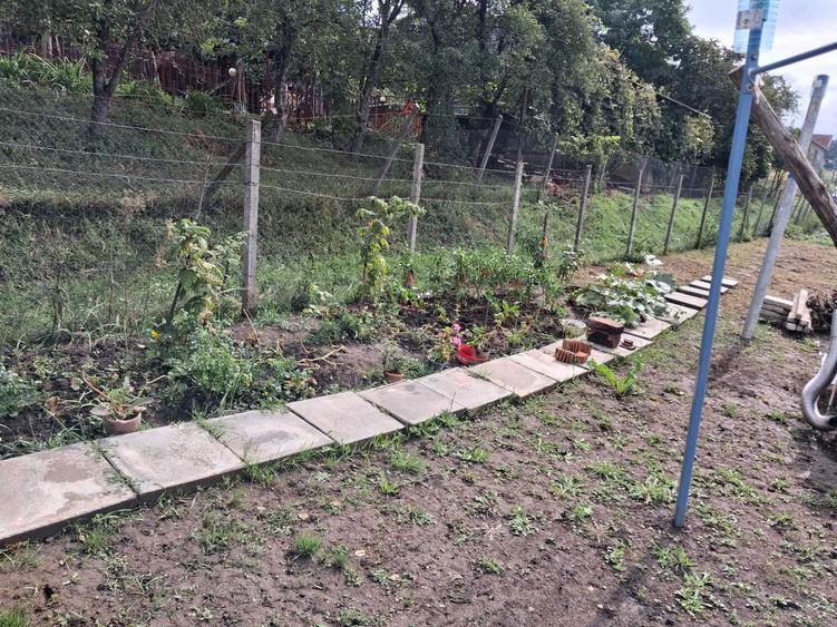 Teren intravilan cu aprobare PUZ in TG MURES TG Mures - 2