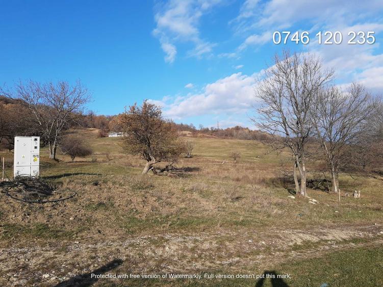 Teren intravilan Troianu - 3