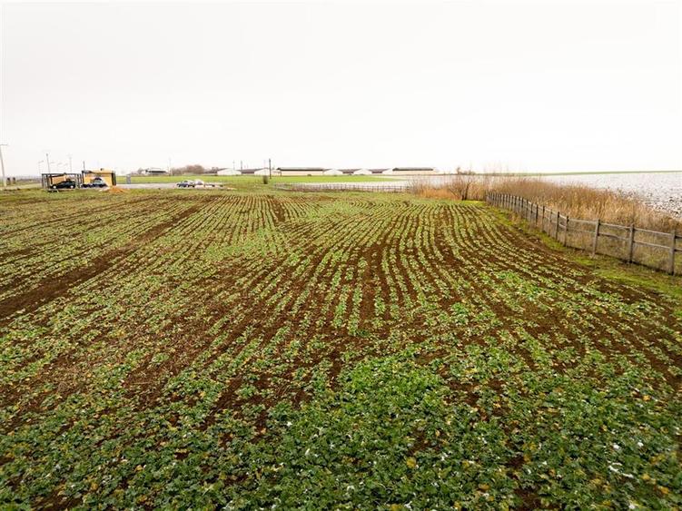 RECO . Teren extravilan  5000mp  , 110ml front . - 7