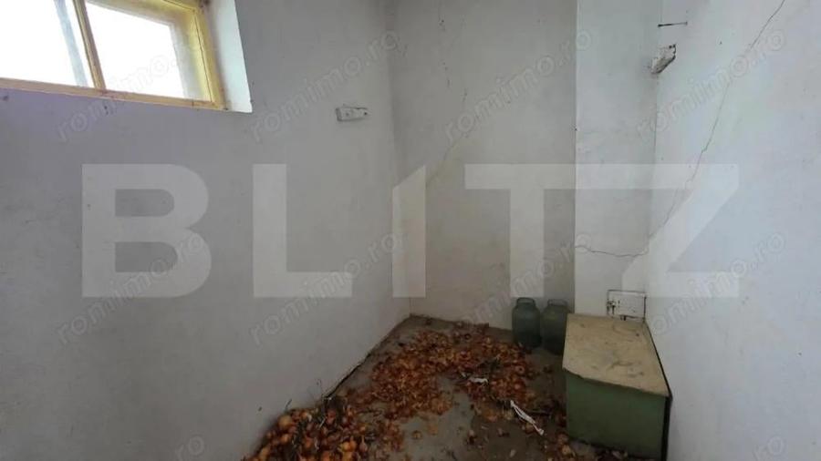 Casa cu teren 32 ari Viile Tecii, la 30 km de Bistri?a - 14