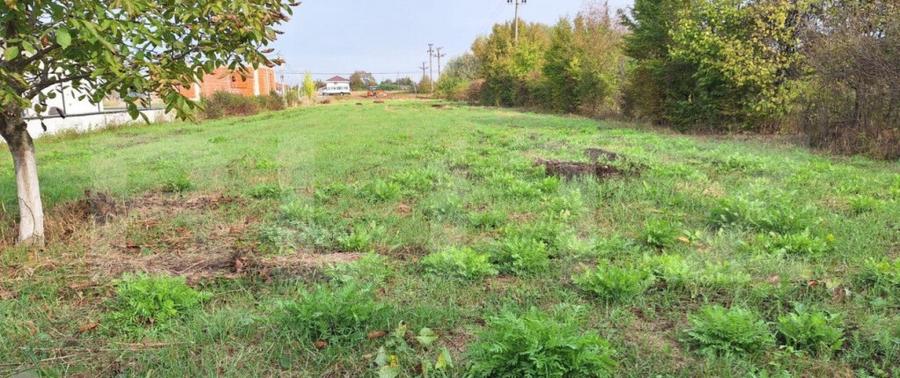 Teren Intravilan, sat Martinesti comuna Odoreu - 1