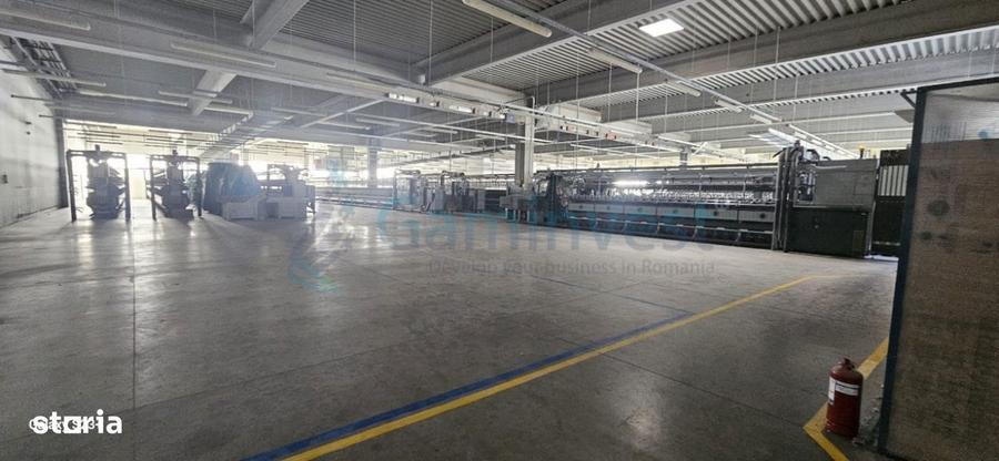 Hala Industriala 6500 mp,Madaras la 30 km de Oradea,Gaminvest,v4077 - 5