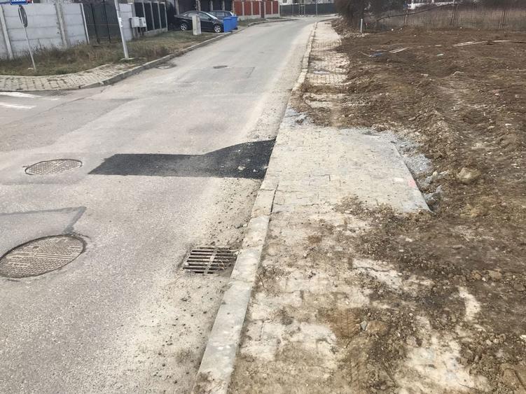 Teren + Proiect cu autorizatie Chitila lac cu Nuferi ( Rezidential ) - 8