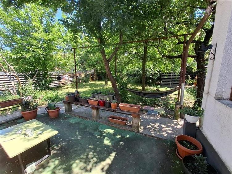 Inchiriez casa 3 camere zona Elisabetin, pet frendly! - 1