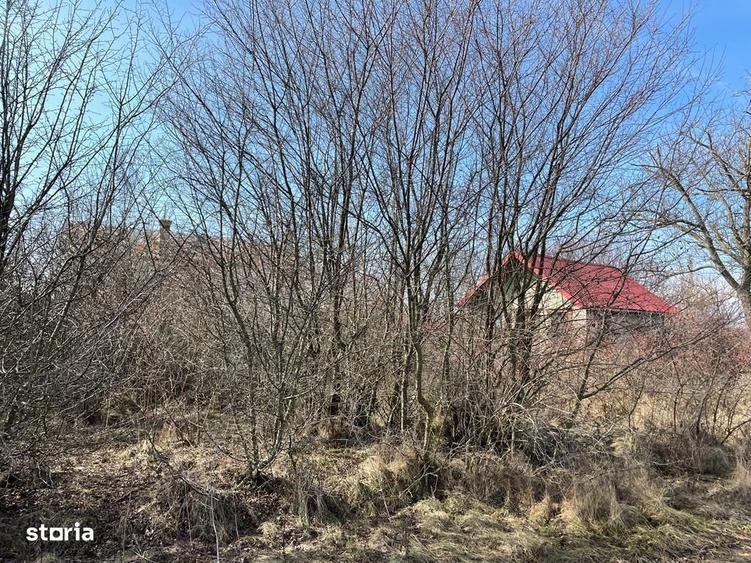 TEREN INTRAVILAN DE VANZARE - 2