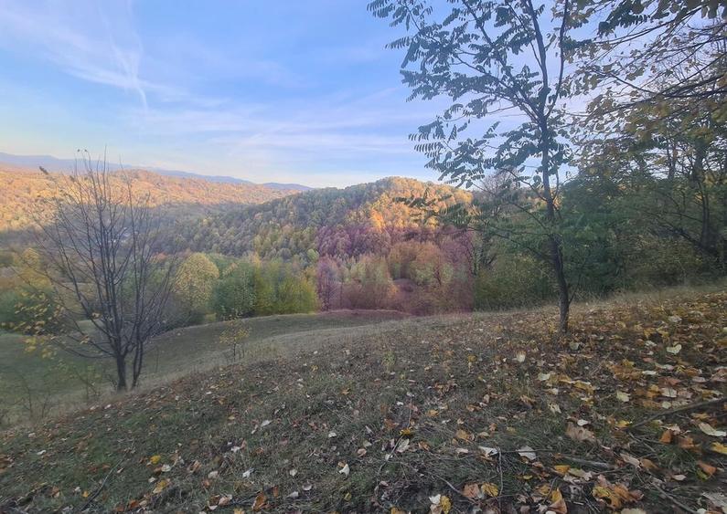 Teren intravilan de vanzare in Telega - 2