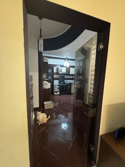 Apartament 3 camere Cismigiu, Plevnei 1 - 12