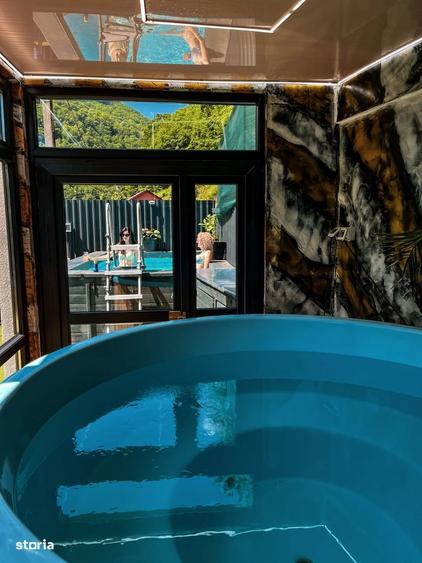 Casa de vacan?a Some?ul Rece Preluare afacere Zona de munte - 9