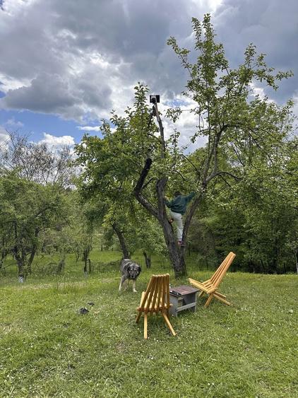 Teren deosebit/posibilitate casa vacanta - 6