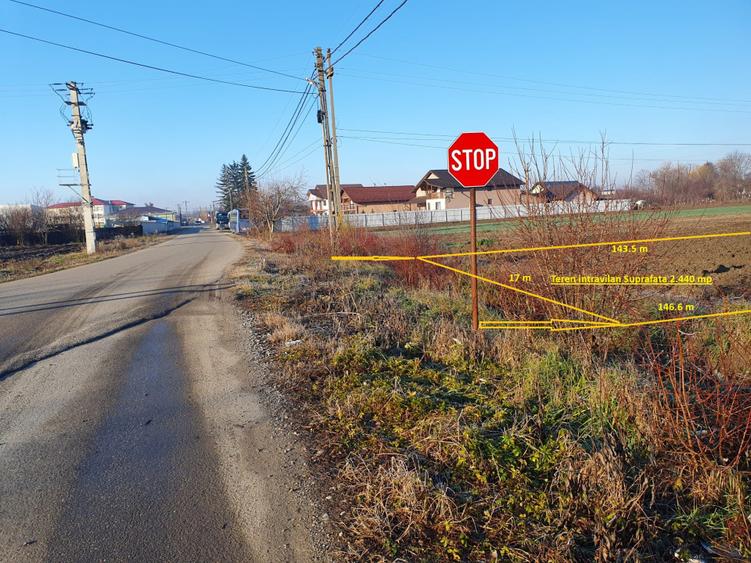 Teren de vanzare intravilan Cornesti Dambovita 2.440 mp  - 1