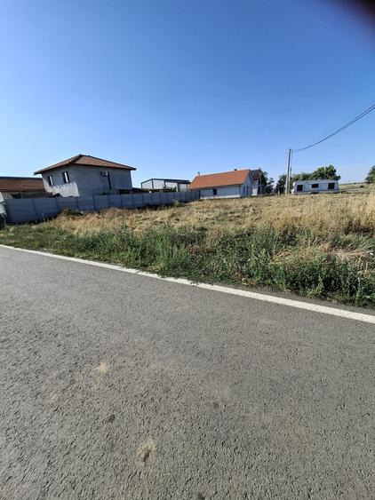 Dudestii Noi – Teren Constructii – Case - 1