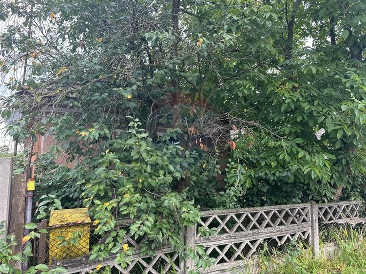 30 arii TEREN INTRAVILAN cu o GOSPODARIE veche - 9