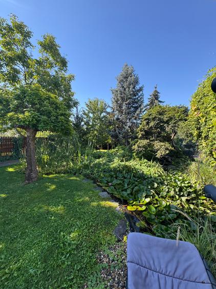 Vila Premium Lipovei Piscina Panouri solare 1180mp teren - 2