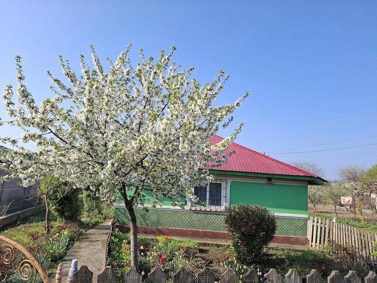 Casa de vanzare Misleanu Ialomita+ teren 655mp Accept schimb - 5