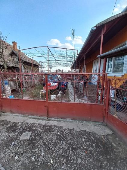 Casă vânzare Recea,1300 mp,7 min cu mașina de Târgu Mureș - 14