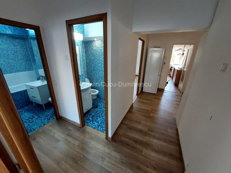 Delfinului giratoriu, spatios, luminos