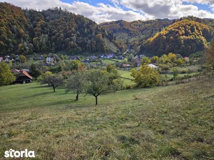 Vand teren moeciu ,cheile gradistei - 1