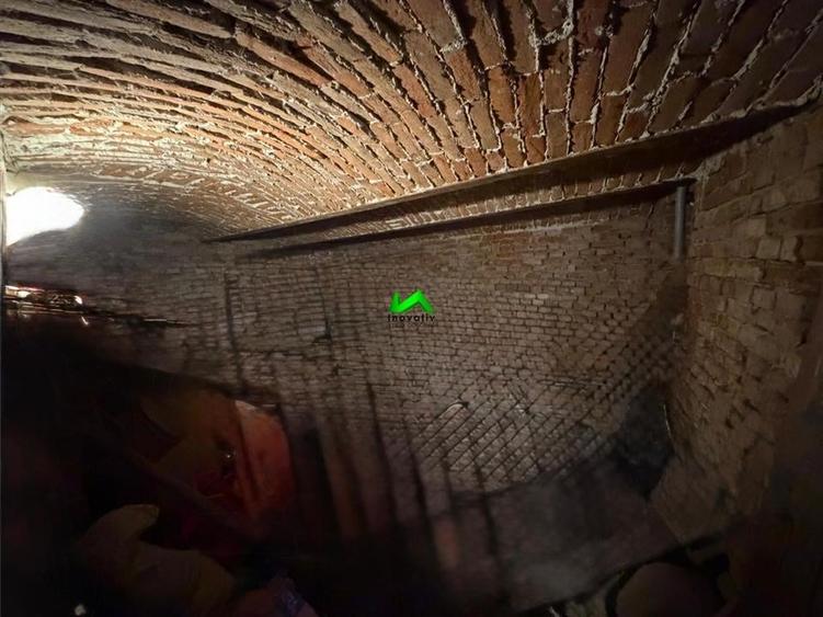 Casa de vanzare 3 camere Sibiu Terezian - 10