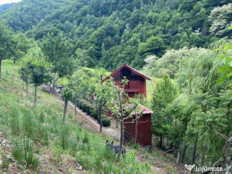 Casa de vacanta cu 4 camere, 1470 mp teren, Sugag - 2