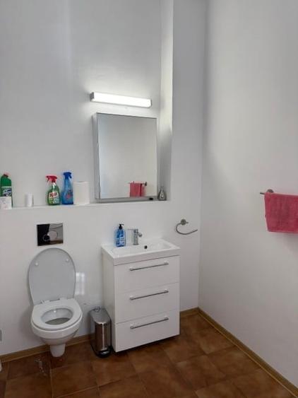 Vla Birouri si Productie Vitan - 9