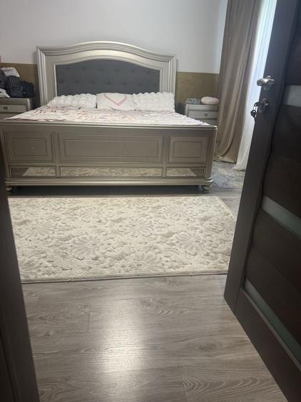 Casa de vanzare andronache - 6