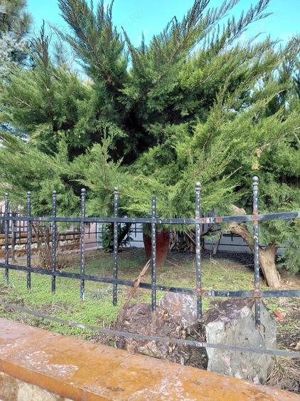 EXCLUSIVITATE | COMISION 0% | Casa 479 mp ideala clinica medicala / activita?i - 9