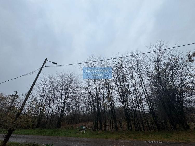 Teren intravilan Drumul Fermei - 3