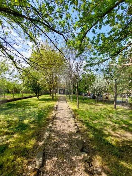 Casa de vanzare, zona Gradi?te - 20