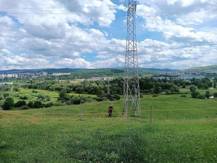 Casa cozy cu panorama spectaculoasa asupra Clujului ?i Flore?tiului Donath Park - 7